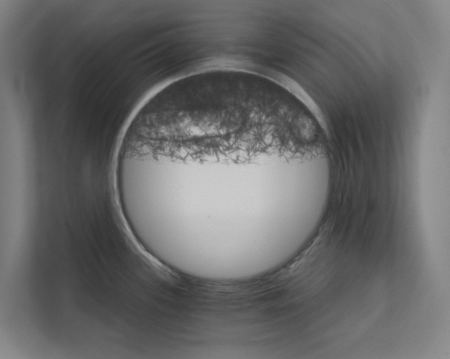 X0000111931339200908171229