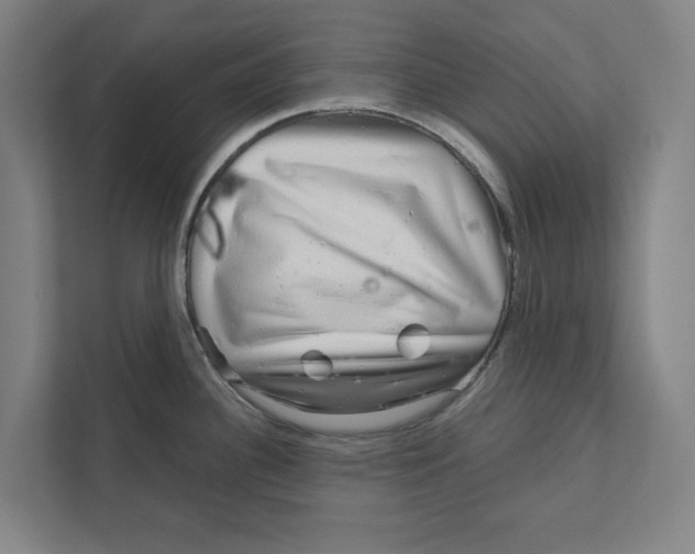 X0000111931340200908171229