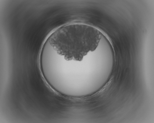 X0000111931341200908171229