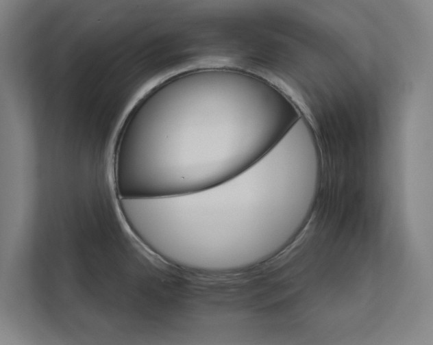 X0000111931342200908171229