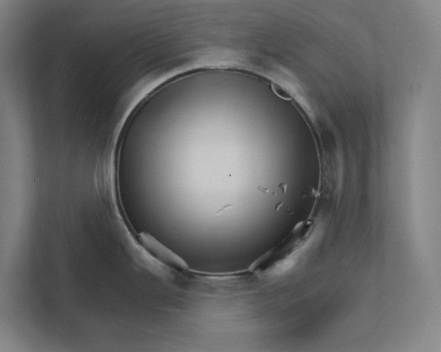 X0000111931343200908171229