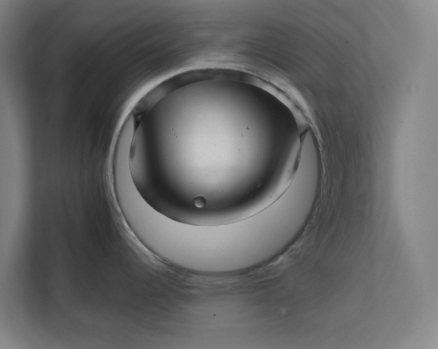 X0000111931344200908171229