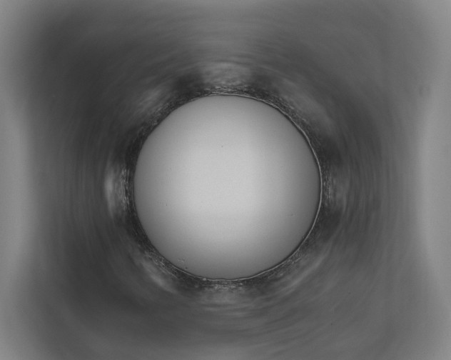 X0000111931346200908171228