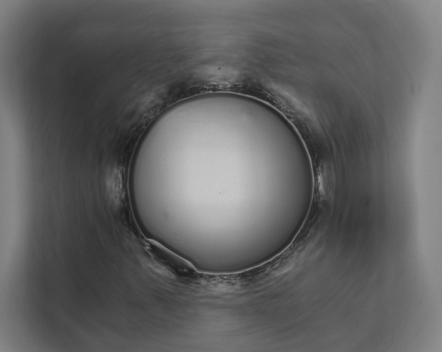 X0000111931347200908171228