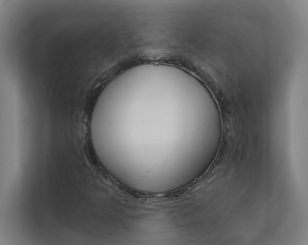 X0000111931349200908171228