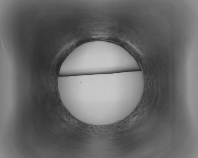 X0000111931351200908171228