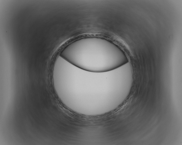 X0000111931352200908171228