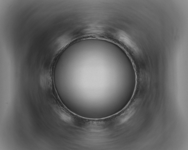 X0000111931354200908171228