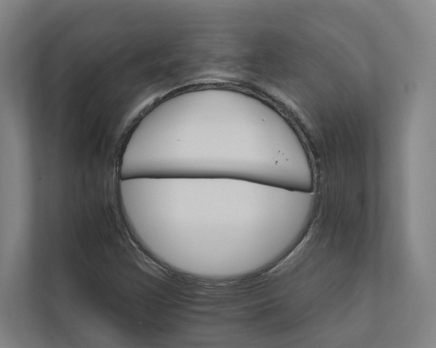 X0000111931355200908171228