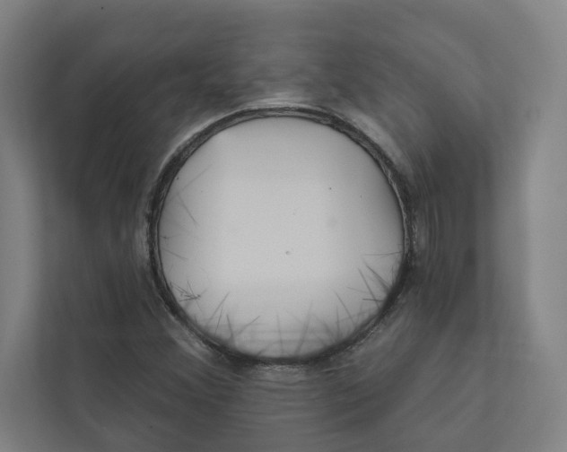 X0000111931356200908171228