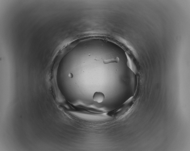 X0000111931357200908171228