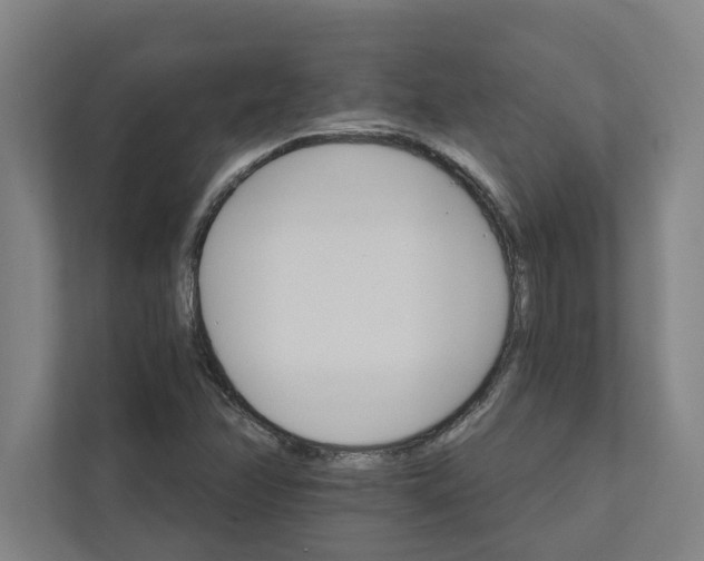 X0000111931358200908171228