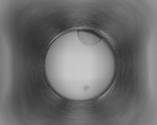 X0000111931361200908171228