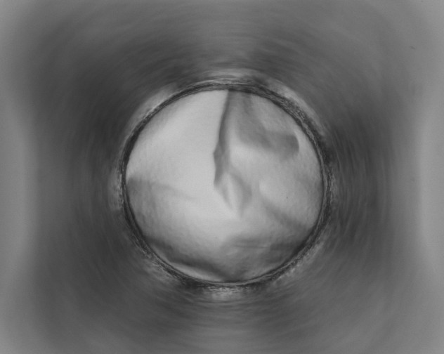 X0000111931362200908171228