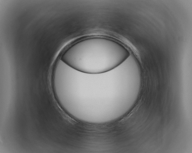 X0000111931368200908171228