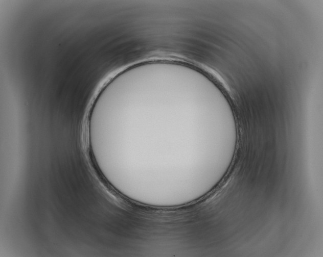 X0000111931371200908171228