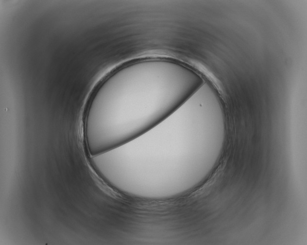 X0000111931372200908171228