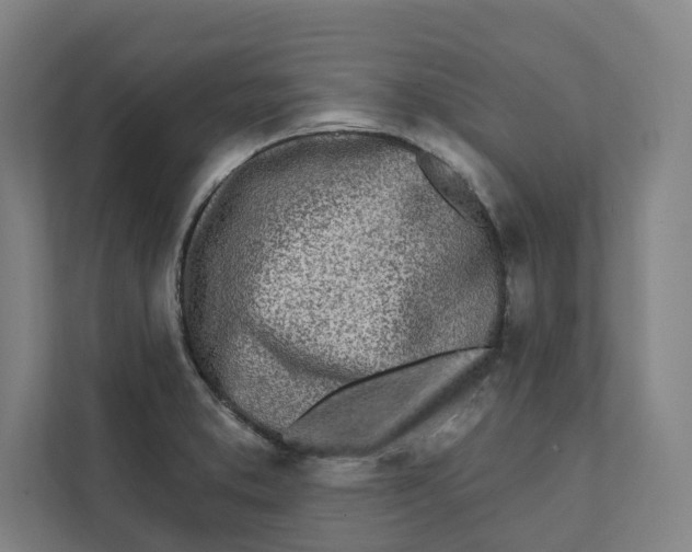 X0000111931373200908171228