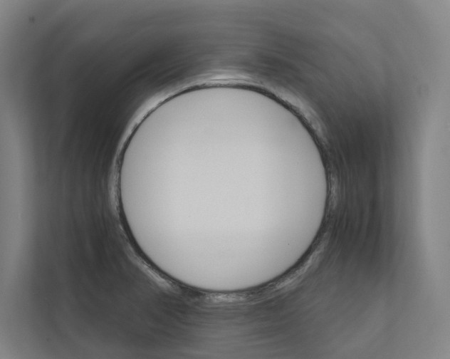 X0000111931374200908171228