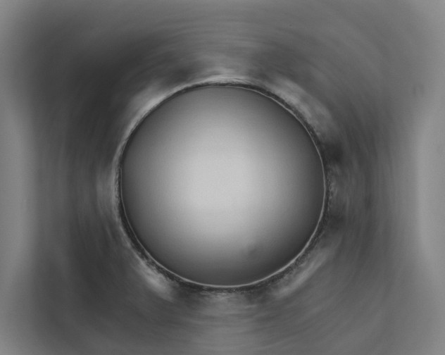 X0000111931375200908171228