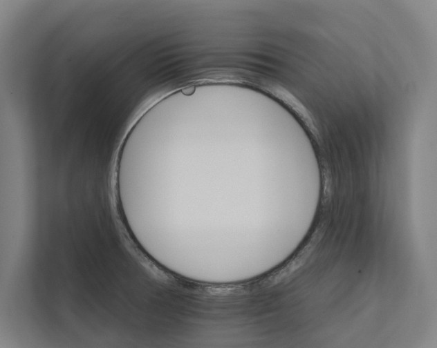 X0000111931378200908171228