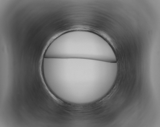 X0000111931379200908171228