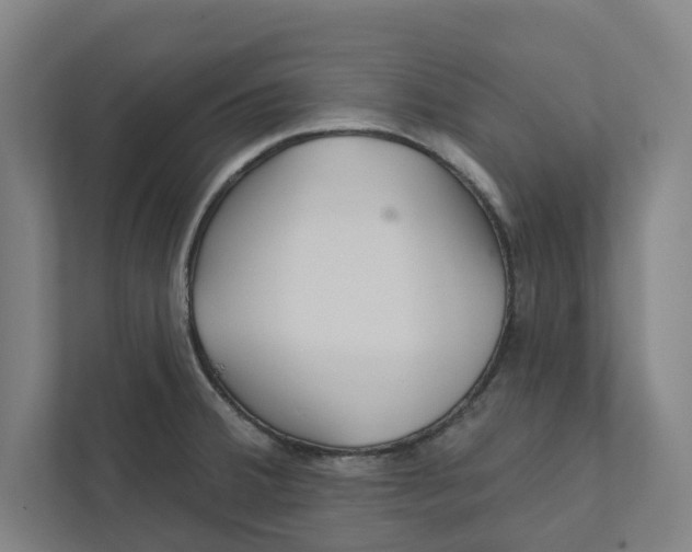 X0000111931380200908171228