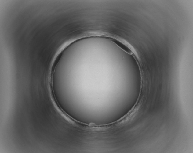 X0000111931381200908171228