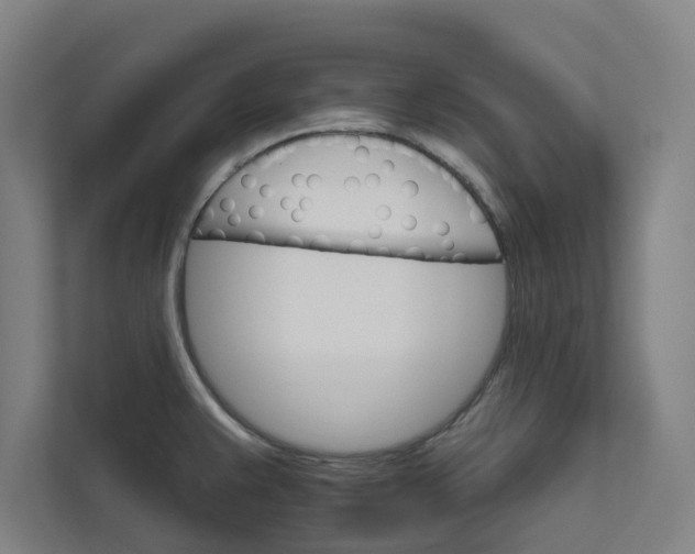 X0000111931383200908171228