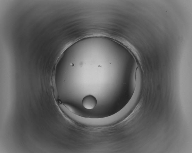 X0000111931385200908171228