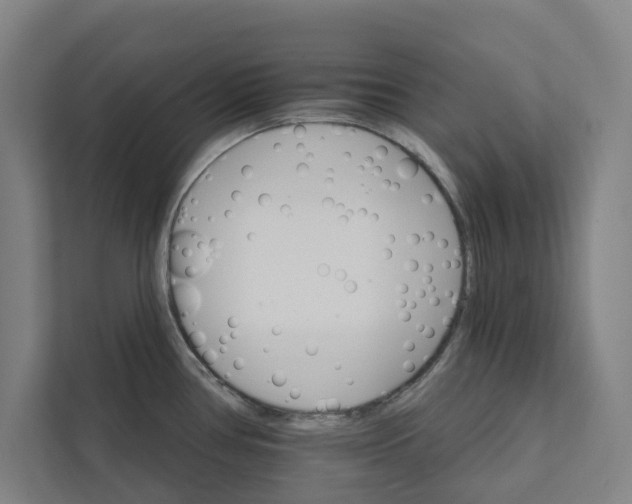 X0000111931386200908171228