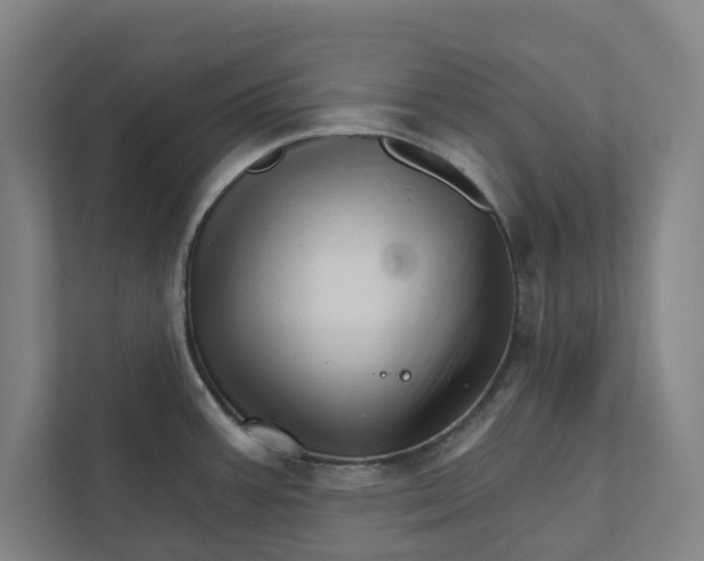 X0000111931387200908171228