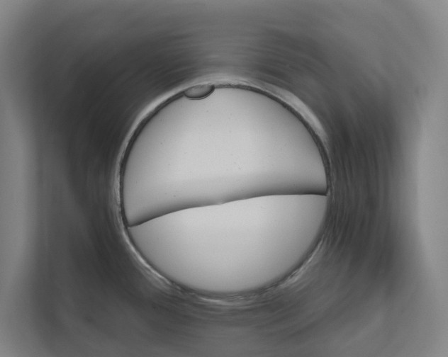 X0000111931388200908171228