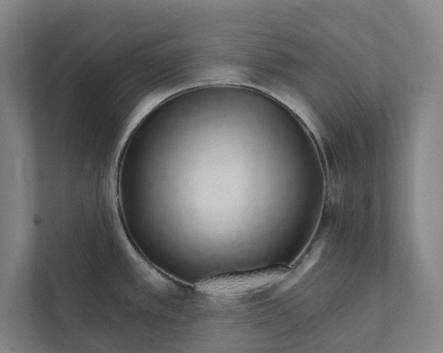 X0000111931389200908171228