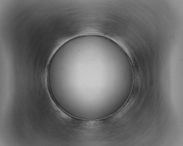 X0000111931390200908171228