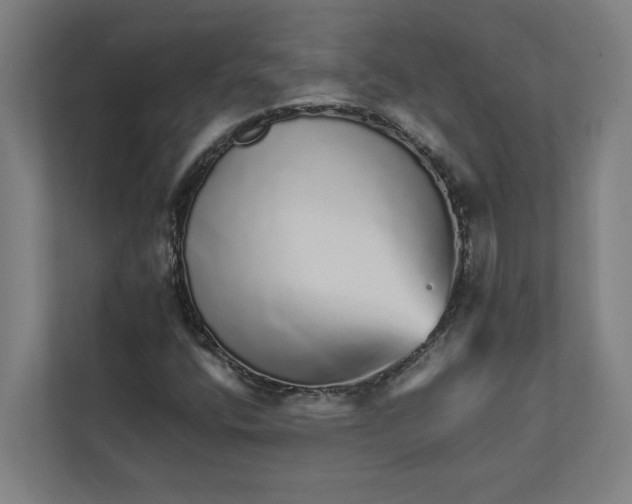 X0000111931400200908171227