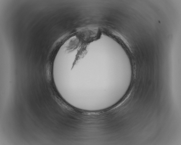 X0000111931403200908171227