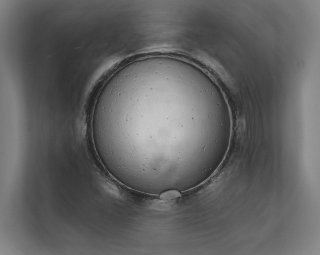 X0000111931406200908171227