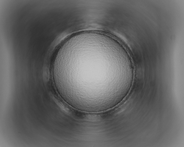 X0000111931407200908171227