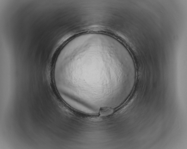 X0000111931410200908171227