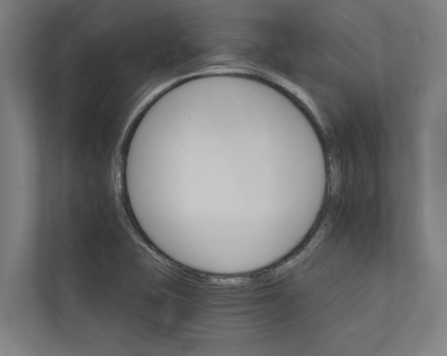 X0000111931415200908171227