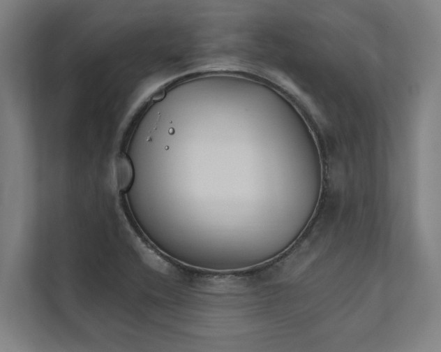 X0000111931416200908171227