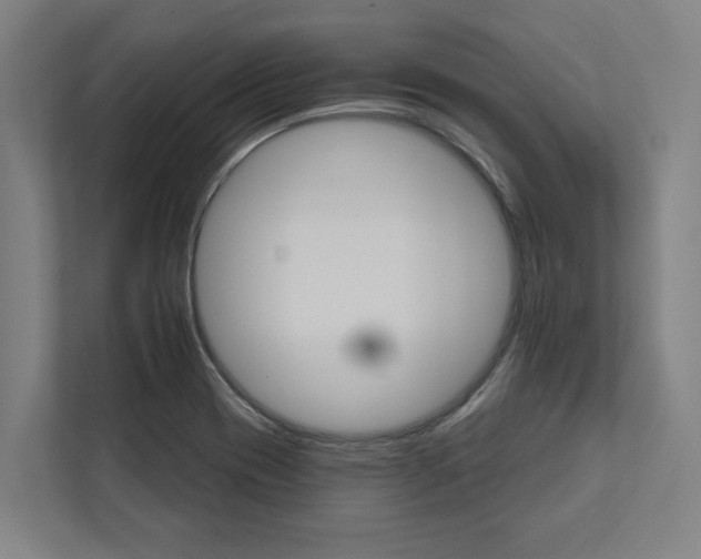 X0000111931417200908171227