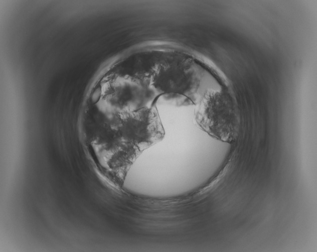 X0000111931421200908171227