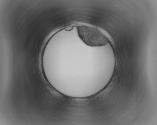 X0000111931427200908171227