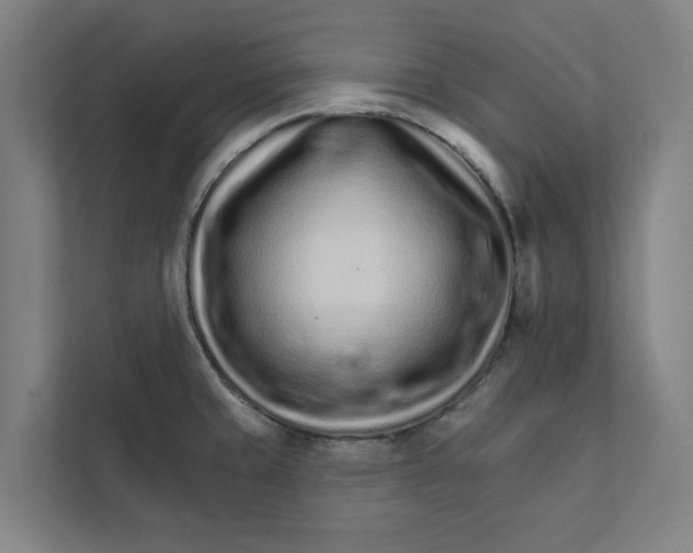 X0000111931429200908171227