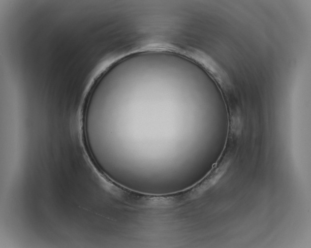 X0000111931430200908171227