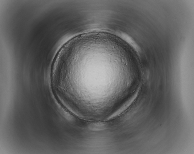 X0000111931431200908171227