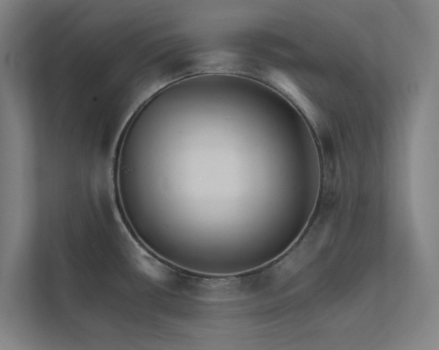 X0000111931434200908171227