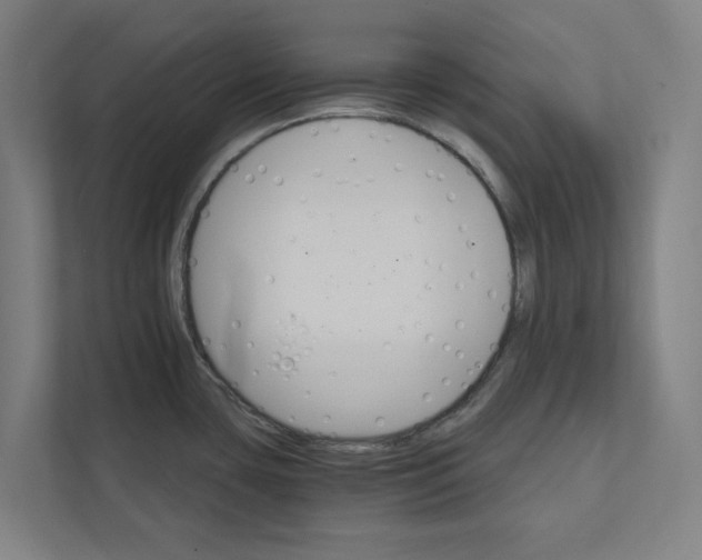 X0000111931435200908171227